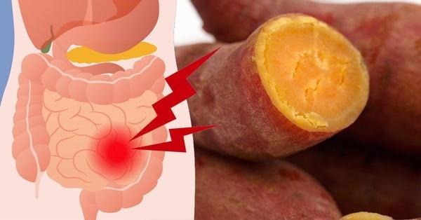 Khoai lang chứa nhiều beta-carotene, vitamin C và chất xơ – đều là những thành phần tốt cho sức khỏe, thậm chí có thể hỗ trợ bảo vệ tế bào thận khỏi tổn thương. 
