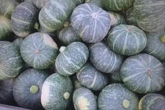 Bí ngô dù ít calo, giàu vitamin và khoáng chất, nhưng hàm lượng đường cũng khá cao, nhất là khi nấu chín.