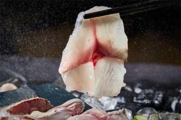 Nhắc đến sashimi, nhiều người sẽ nghĩ ngay đến cá hồi, cá ngừ – vốn là cá biển. 