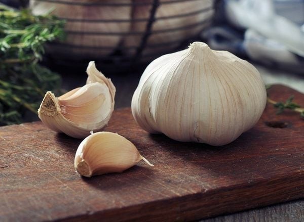 Tỏi là gia vị rất phổ biến
