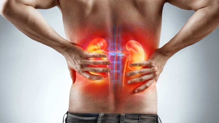 Người có thận yếu thường bị đau ở 5 chỗ: Số 1 nhiều người bị mà không biết