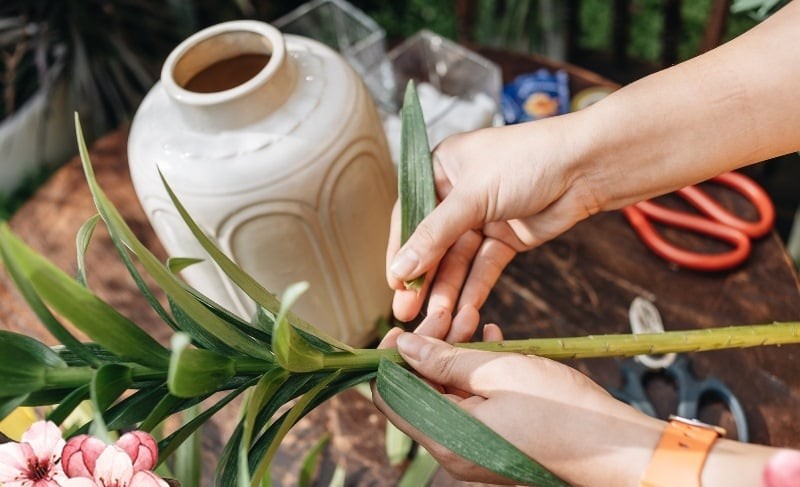 Trước khi cắm, hãy cắt chéo gốc hoa khoảng 45 độ để tăng diện tích tiếp xúc với nước. 