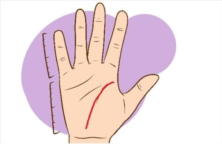 Đường sinh mệnh khởi đầu gần với ngón tay cái