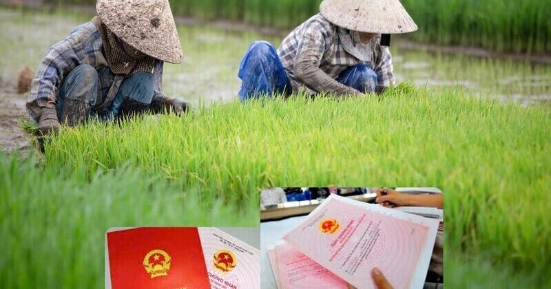 Số tiền cần nộp khi chuyển đất nông nghiệp sang thổ cư là bao nhiêu?
