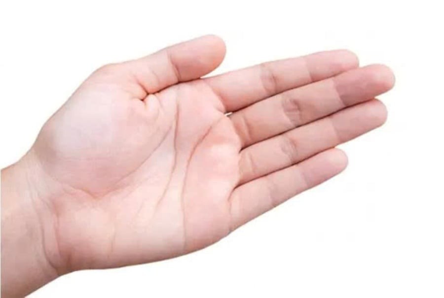 Nếu bạn sở hữu bàn tay có các gò trên bàn tay nổi cao đầy đặn là người có tầm nhìn xa trông rộng, trí tuệ hơn người, thành công trong sự nghiệp. (Ảnh minh họa)