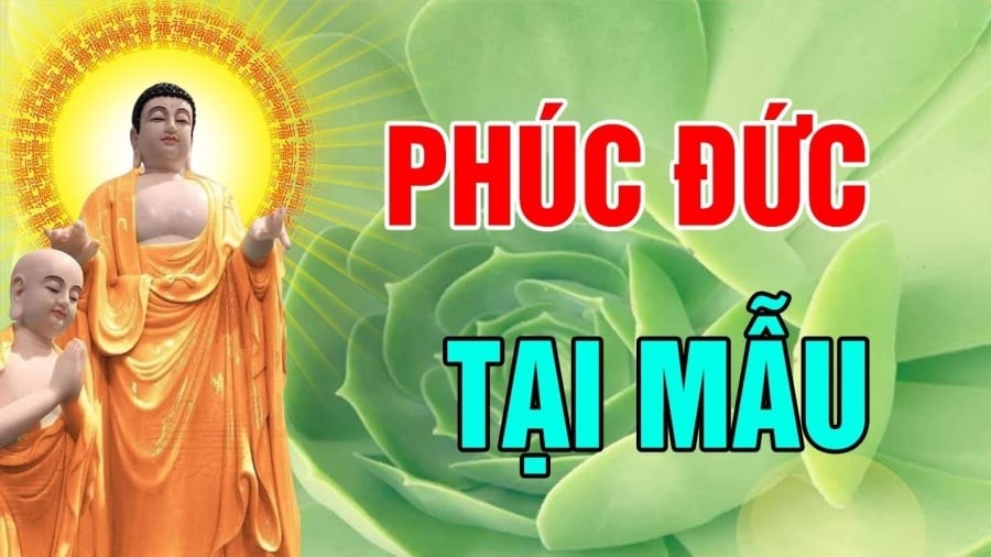 4 kiểu cha mẹ giàu có cho con nhiều phúc báo