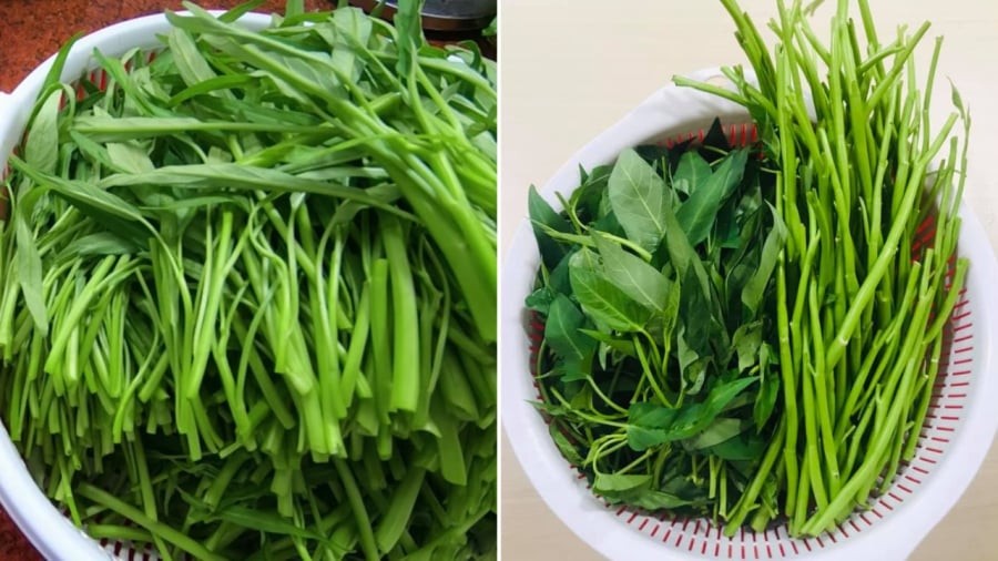 Nên chọn rau muống có thân to vừa phải, không quá già hay quá non.
