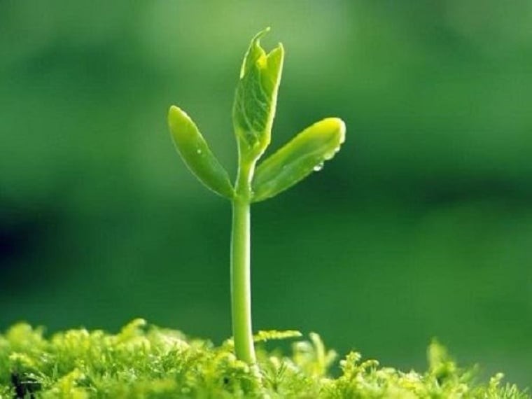 Năm thế giới số 1: Khởi đầu mới và cơ hội vàng
