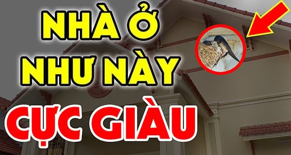 Dấu hiệu nhà giàu to