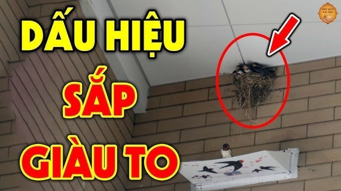 Dấu hiệu nhà sắp phát tài