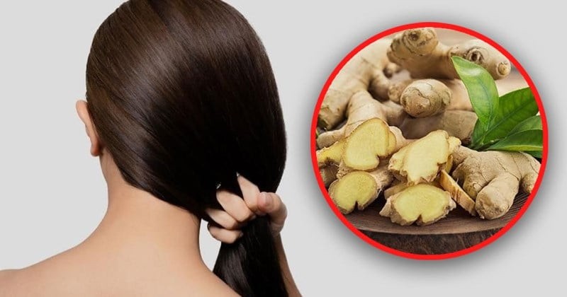 Đập dập củ gừng rồi pha nước gội đầu theo cách này: Tóc con mọc lên tua tủa