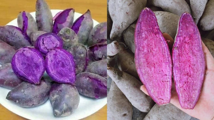 Khoai lang tím chứa nhiều chất chống oxy hóa.