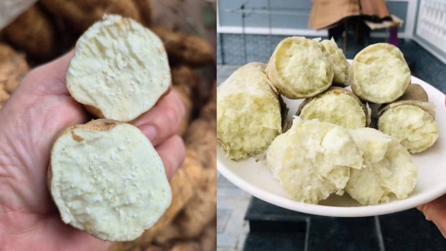 Khoai lang trắng chứa nhiều tinh bột, ít nước nên thường mang lại cảm giác khô, bở khi ăn.