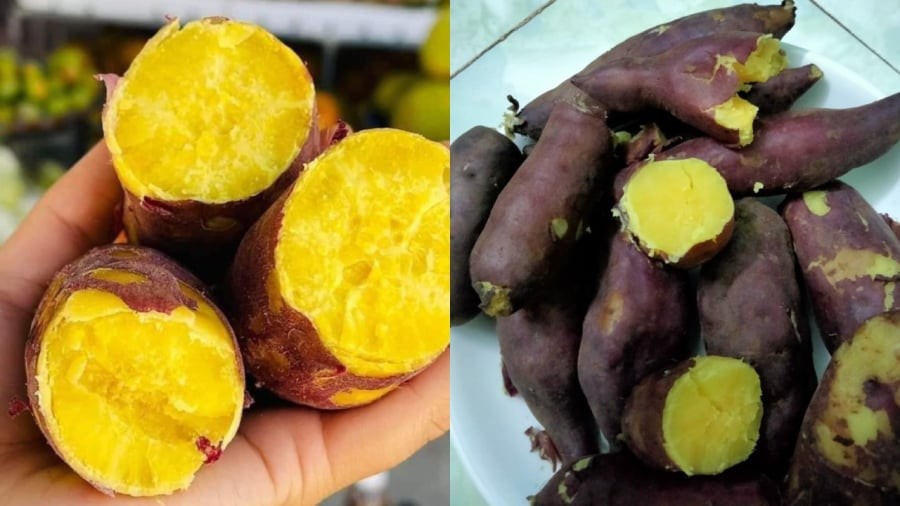 Khoai lang ruột vàng thường mềm và nhiều nước hơn loại ruột trắng.