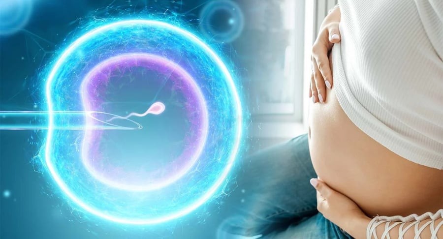 Từ hôm nay, phụ nữ độc thân có quyền tiếp cận kỹ thuật hỗ trợ sinh sản, bao gồm đông lạnh trứng, thụ tinh trong ống nghiệm (IVF) nếu có nhu cầu và nguyện vọng.

