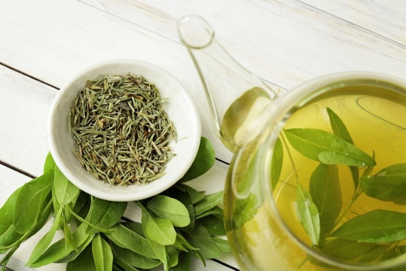 Để áp dụng, bạn có thể dùng lá trà xanh tươi hoặc trà khô. 