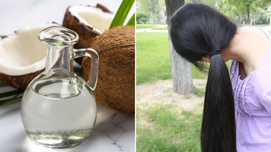 Sử dụng dầu dừa để ủ tóc đúng cách, tóc sẽ chắc khỏe, giảm rụng và không bị bết.