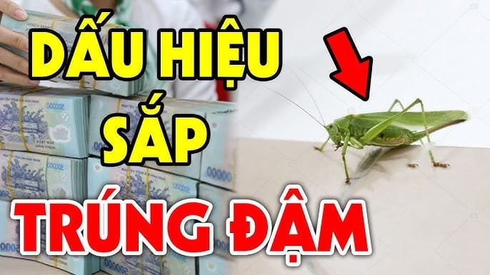 Dấu hiệu nhà sắp trúng đậm giàu có