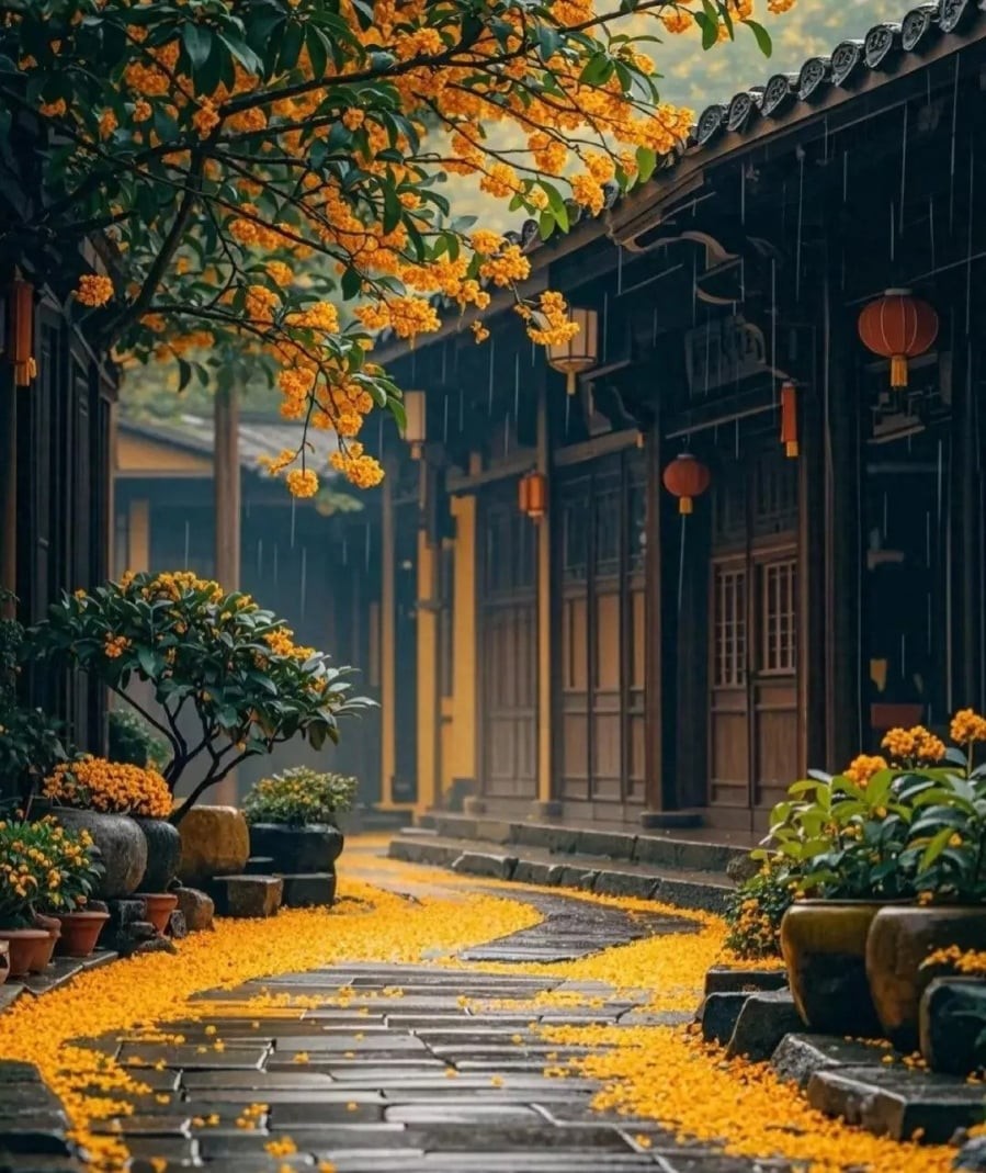 Phòng khách là bộ mặt của ngôi nhà, cũng là nơi hội tụ và lưu thông năng lượng nhiều nhất. 