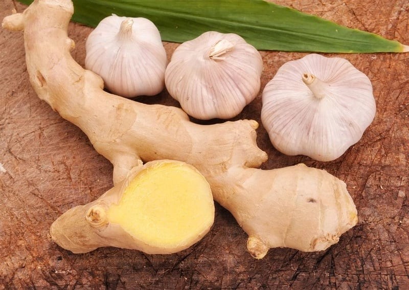 Tỏi và gừng đều là những vị thuốc quý và hiệu quả trong Đông y