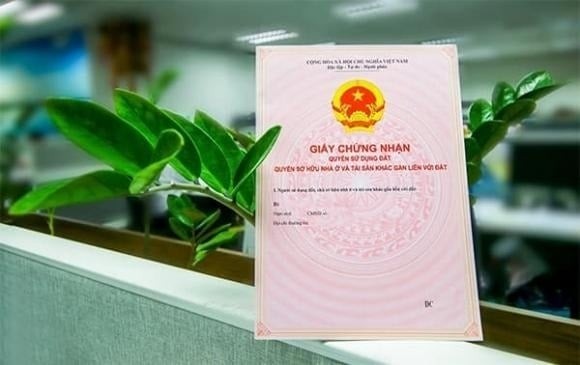 Nếu quyền sử dụng đất không thể phân chia theo phần, các thành viên sẽ cùng nhau thực hiện quyền và nghĩa vụ, hoặc có thể ủy quyền cho một người đại diện để thực hiện thay nhóm.