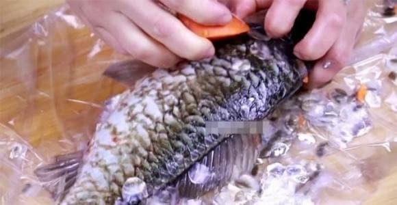 Một cách kiểm tra cá tươi hay không là quan sát mắt và mang. 