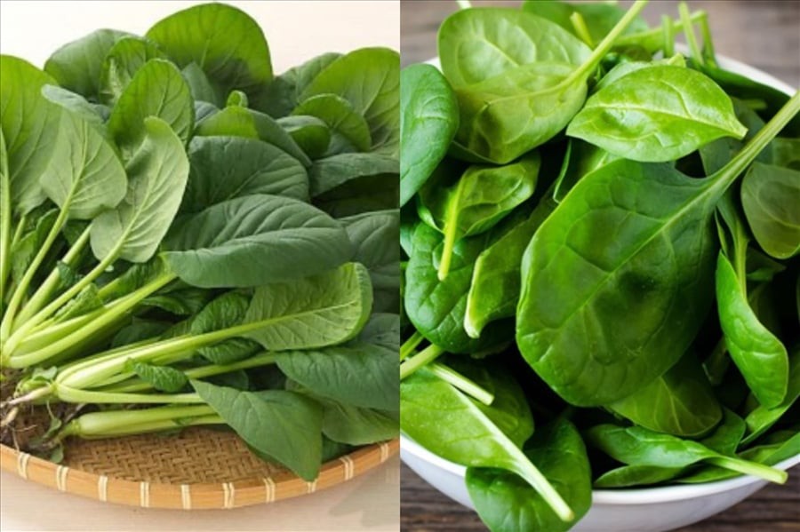 Các loại rau như rau bina, cải xoăn, cải cầu vồng chứa hỗn hợp vitamin A, C cùng sắt. 