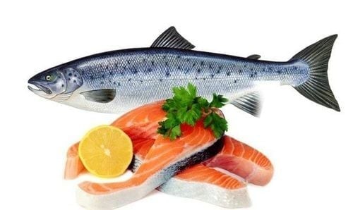 Các loại cá béo như cá hồi, cá mòi và cá thu chứa nguồn omega-3 dồi dào cùng protein chất lượng cao.