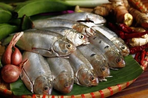 Nhỏ nhưng giàu dinh dưỡng, cá mòi được đánh giá cao nhờ hàm lượng omega-3, protein, canxi, magie, phốt pho và kẽm phong phú. 