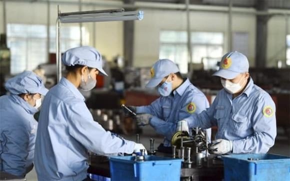 Luật Bảo hiểm xã hội 2024 quy định hàng loạt chế độ trợ cấp sẽ được tính dựa trên mức tham chiếu thay vì lương cơ sở, mang lại nhiều quyền lợi hơn cho người lao động.

