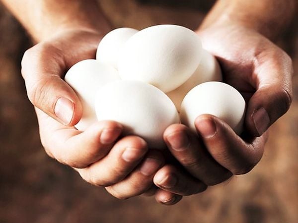 Ăn nhiều trứng sẽ gặp tác dụng phụ nguy hại