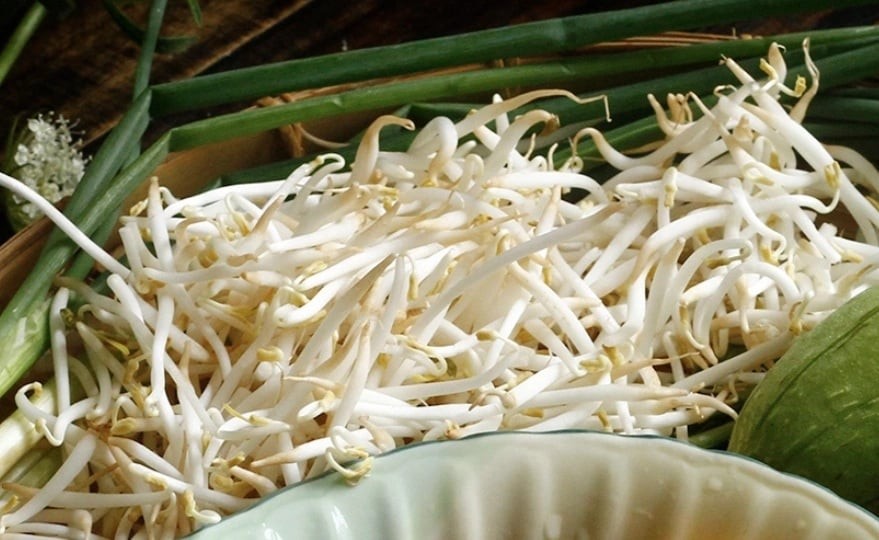 Cách bảo quản giá đồ để cả tuần vẫn mũm mĩm, không sợ thâm đen