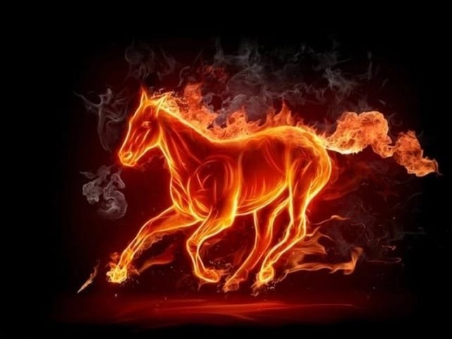 Tuổi Ngọ là con giáp có chí tiến thủ và năng lượng mạnh mẽ. 