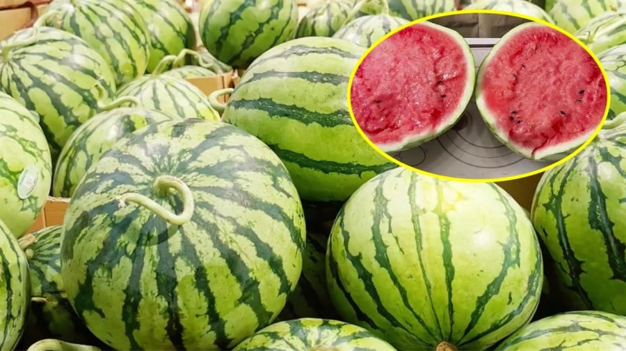 Khi chọn dưa hấu, bạn nên quan sát kỹ màu sắc của phần vỏ, cuống và rốn của quả.