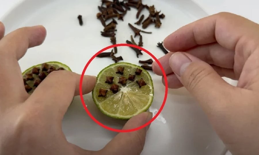 Cắm thứ này vào quả chanh, muỗi cả đàn rủ nhau bay đi hết