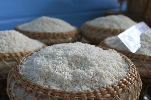 Gạo nếp ngon sẽ cho xôi ngon
