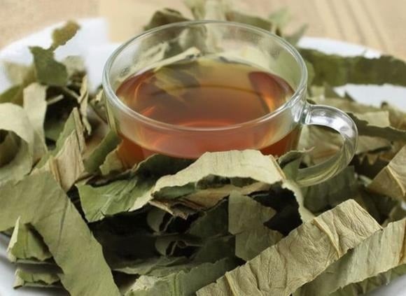 Trà lá mướp khô giúp làm sạch khoang miệng, giảm hôi miệng và ngăn ngừa viêm nướu.