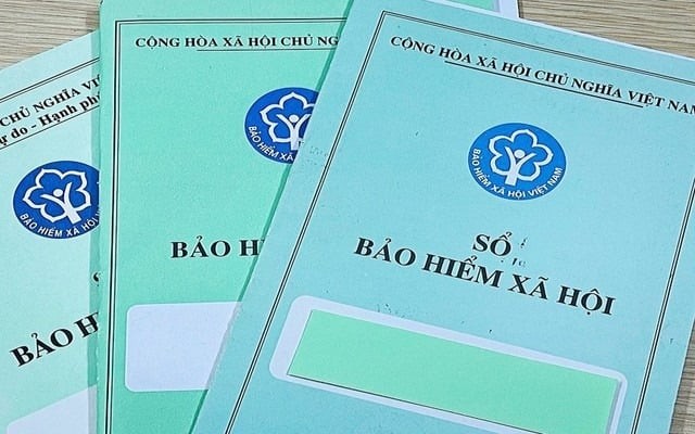 Bên cạnh khoản trợ cấp thất nghiệp, người lao động có thể lựa chọn thêm một trong hai hình thức hỗ trợ khác tùy theo điều kiện và nhu cầu cá nhân.


