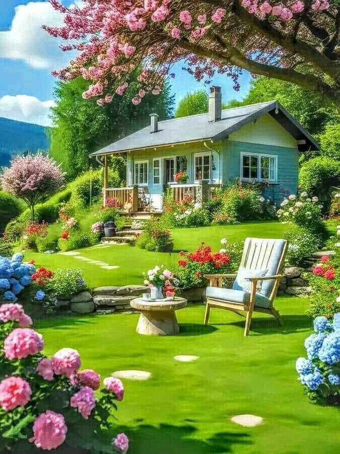 Cây trồng lâu năm không ra hoa bỗng dưng nở hoa là điềm lành