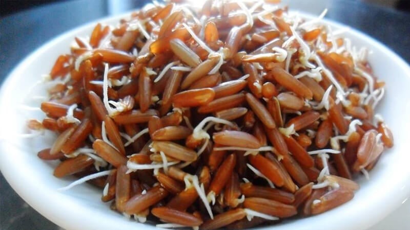 Gạo lứt nảy mầm