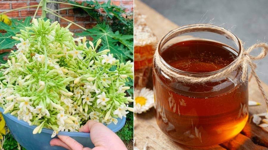 Hoa đu đủ đực và mật ong chứa nhiều vitamin, khoáng chất có lợi cho sức khoẻ.