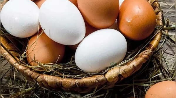 Trứng là một trong những thực phẩm phổ biến và giàu dinh dưỡng nhất. Ảnh minh họa