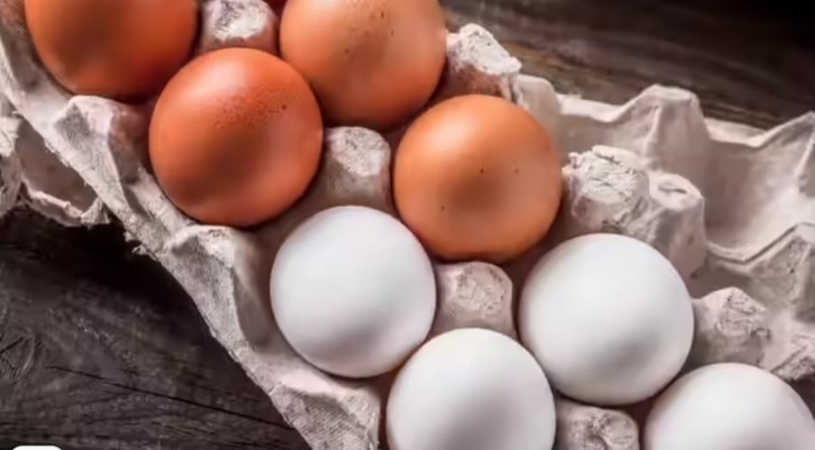 Ưu tiên chọn trứng từ gà “nuôi thả”. Ảnh minh họa