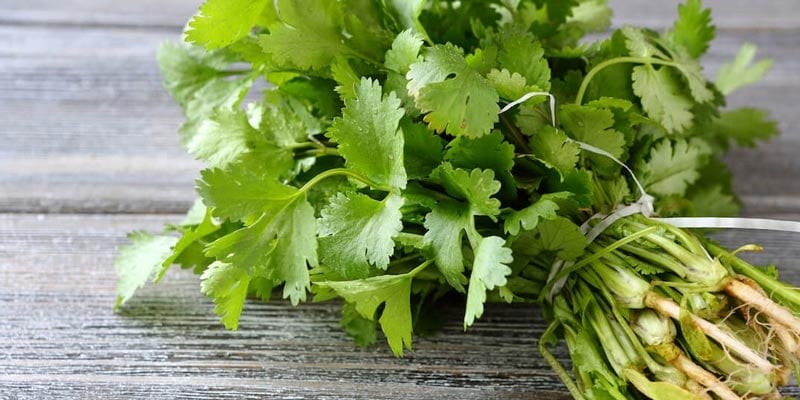 Không phải chị em nào cũng thích mùi của loại rau mùi này