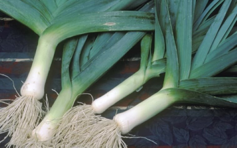 Mùi của tỏi tây làm cho nó khá khó ăn với một số người