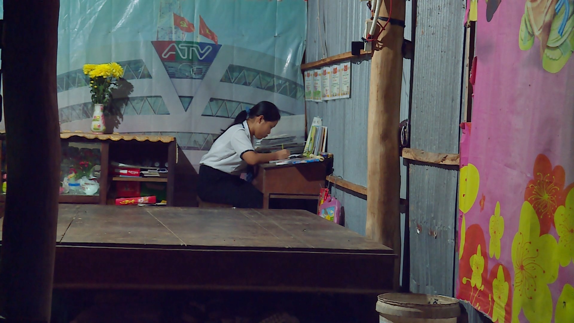 3–Em LÊ NGỌC XUÂN MAI (1)