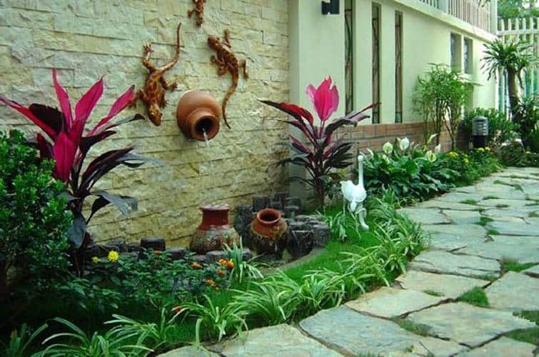 Có cây xanh tươi tốt quanh nhà