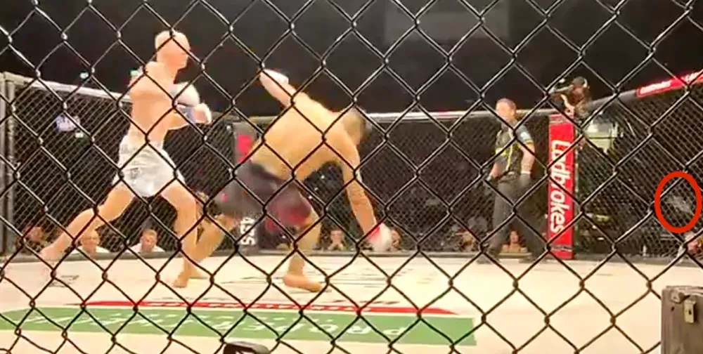 Michael Alsop knock-out Jesse Wynne tại Eternal MMA 99