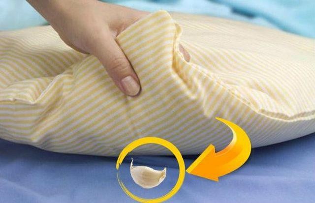 Tỏi – Vật nhỏ, năng lượng lớn mang lại bình an