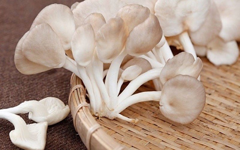 Thực phẩm màu trắng